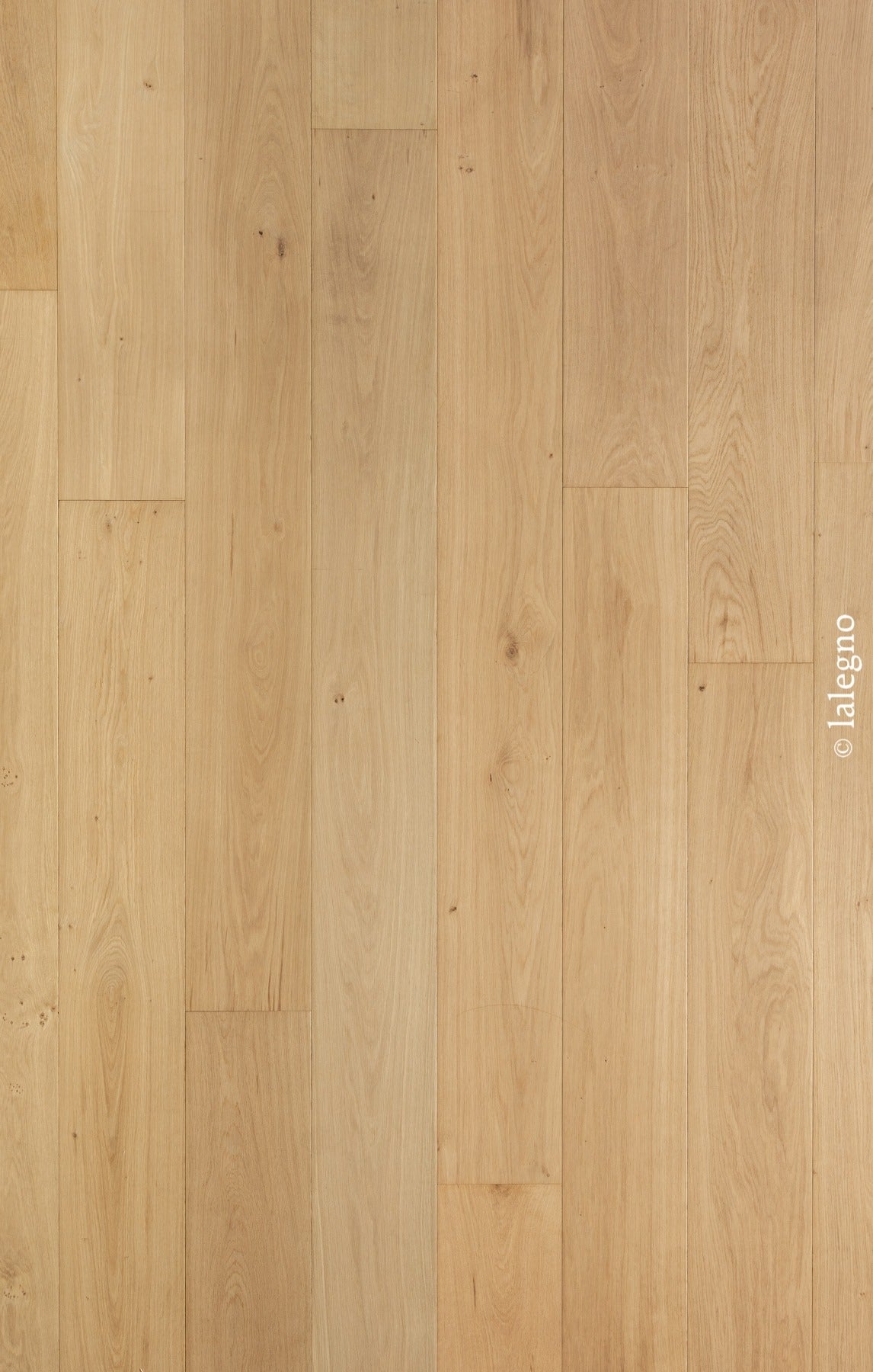ABC - PLANK - BRUT