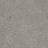 Elysian Gris Catalan