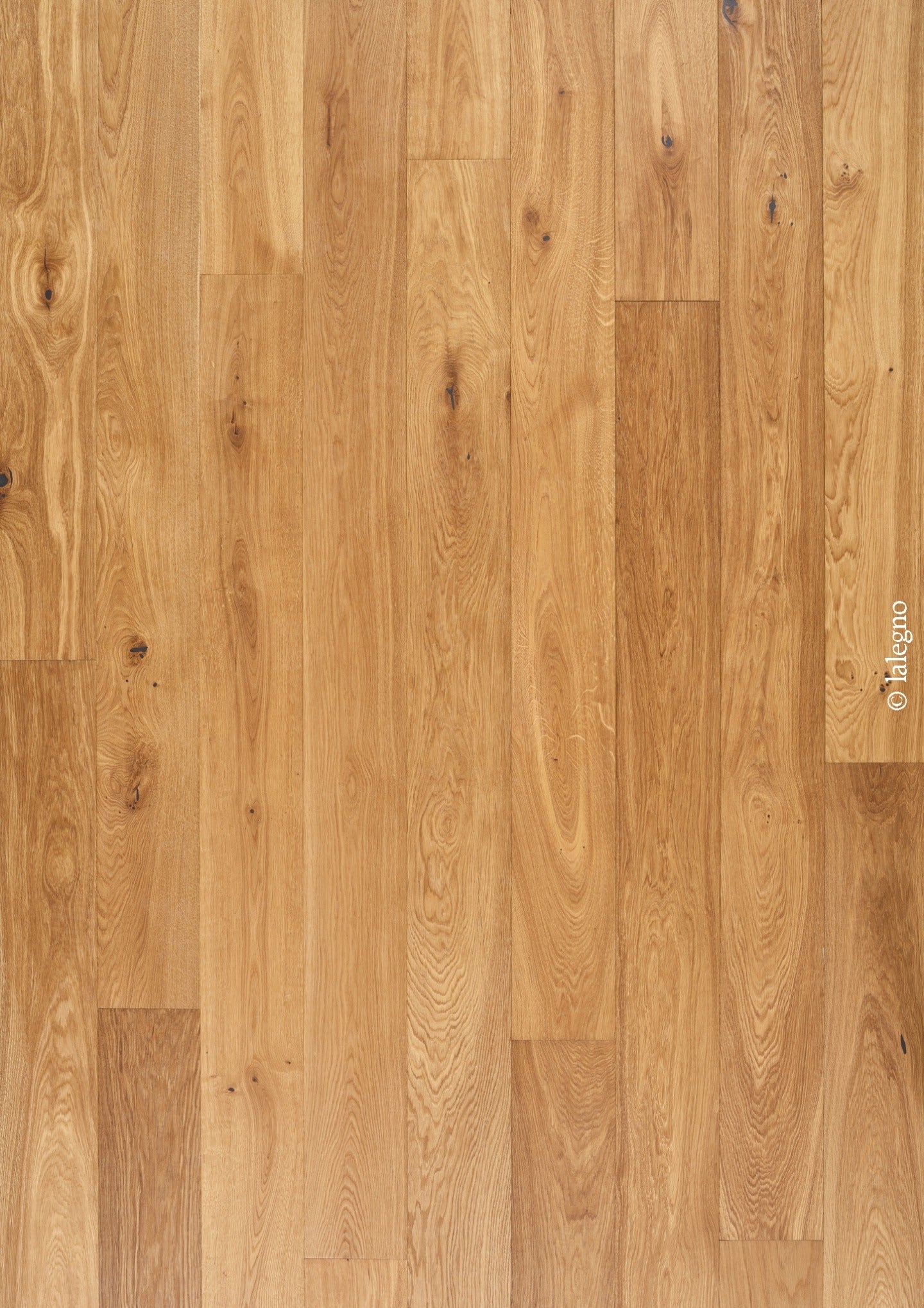 ABCD - CHALON - HUILE UV