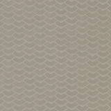 Nagomi Fog