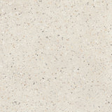 Reconcrete Terrazzo Rice
