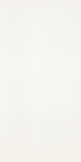 CHROMOCODE3D MAXFINE TITANIUM WHITE