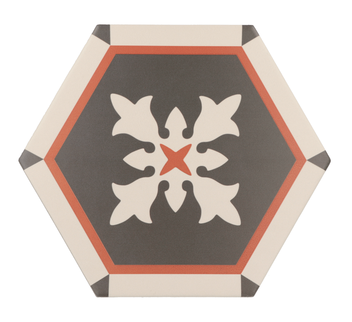 Coimbra Aveiro