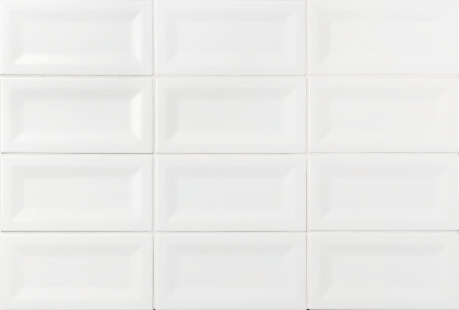Evolution Blanco ABK
