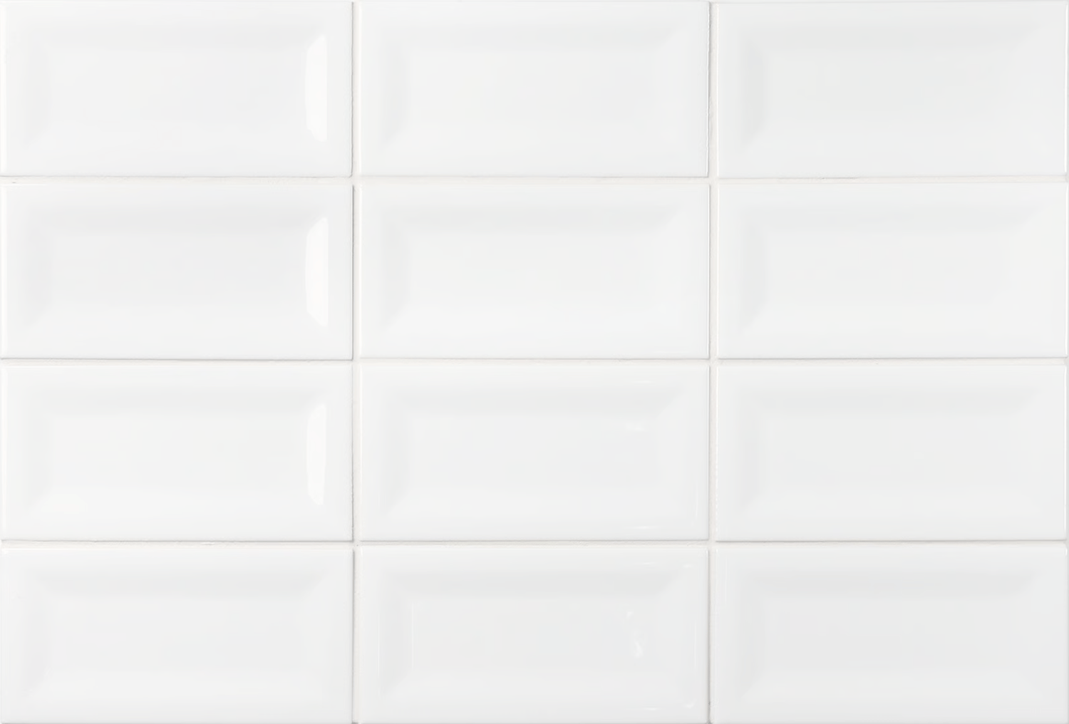 Evolution Blanco Brillo ABK