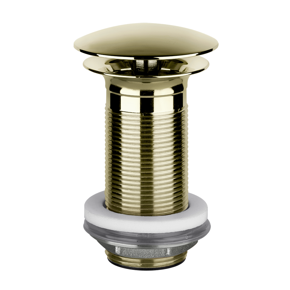 01391 - Brass Pvd