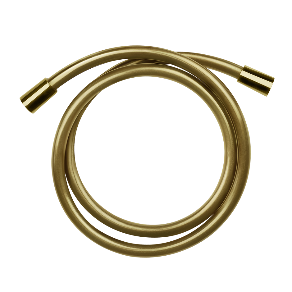 01637 - Gold Pvd