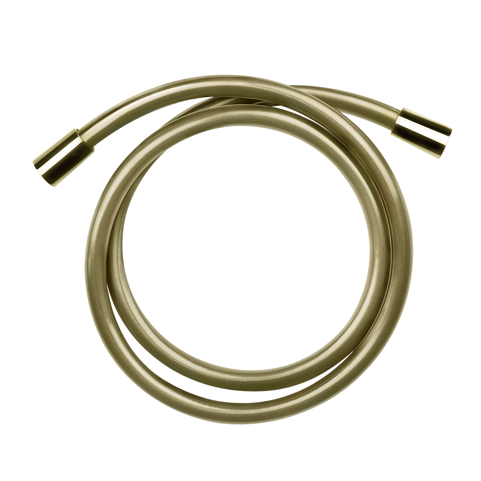 01637 - Brass Pvd