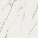 Calacatta Michelangelo