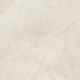 Pulpis Ivory
