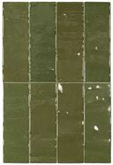 Malaca Cactus