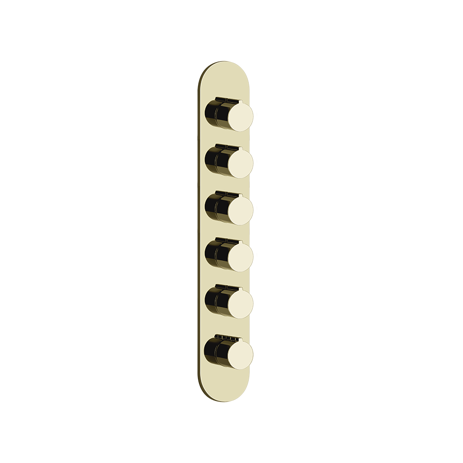 43070 - Brass Pvd