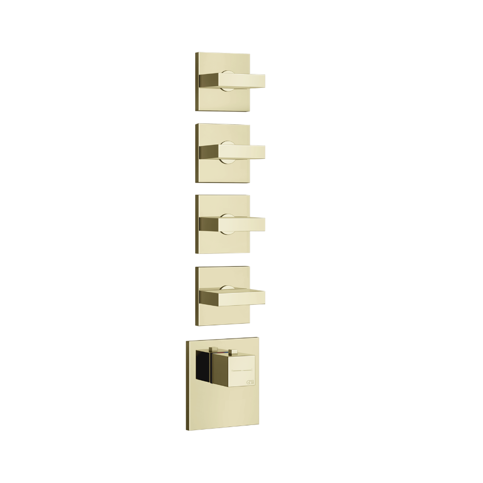 43218 - Brass Pvd