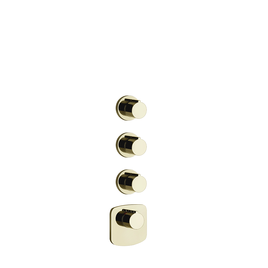 43236 - Brass Pvd