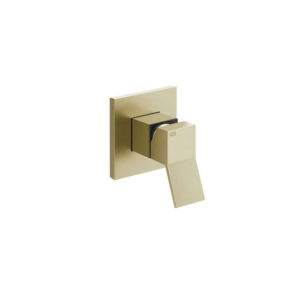 53109 - Brass Brushed Pvd