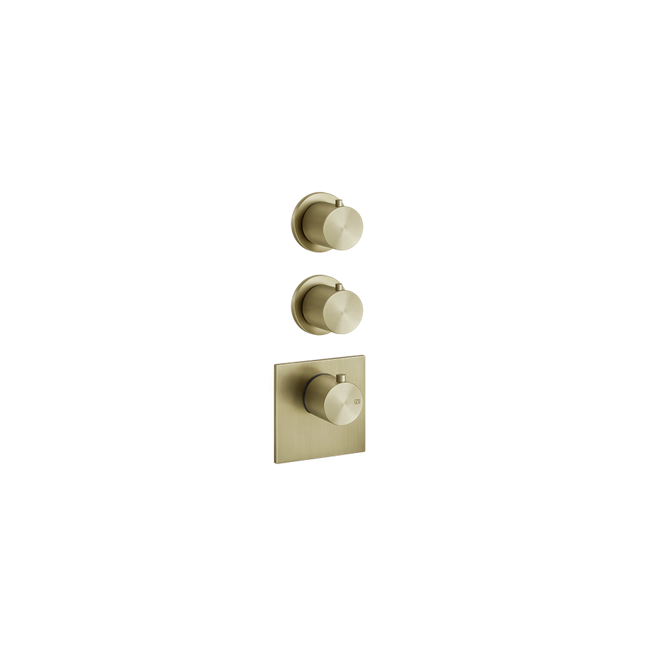 54504 - Brass Brushed Pvd