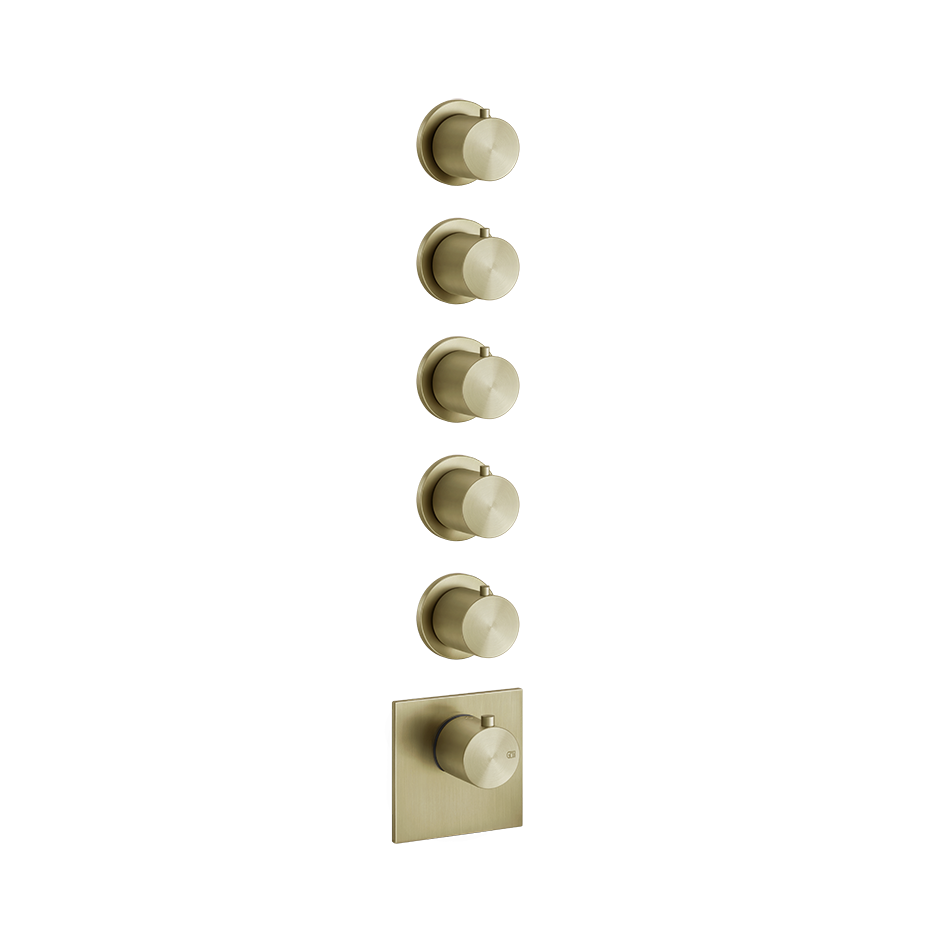 54510 - Brass Brushed Pvd
