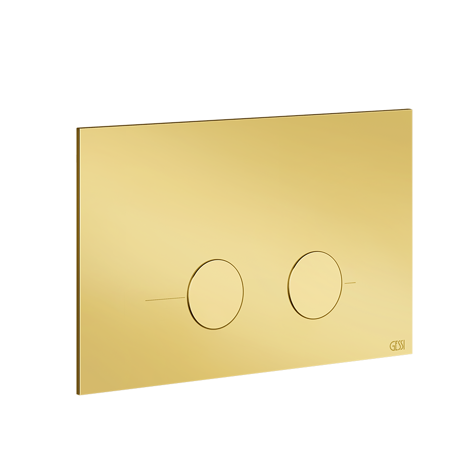 54619 - Gold Pvd