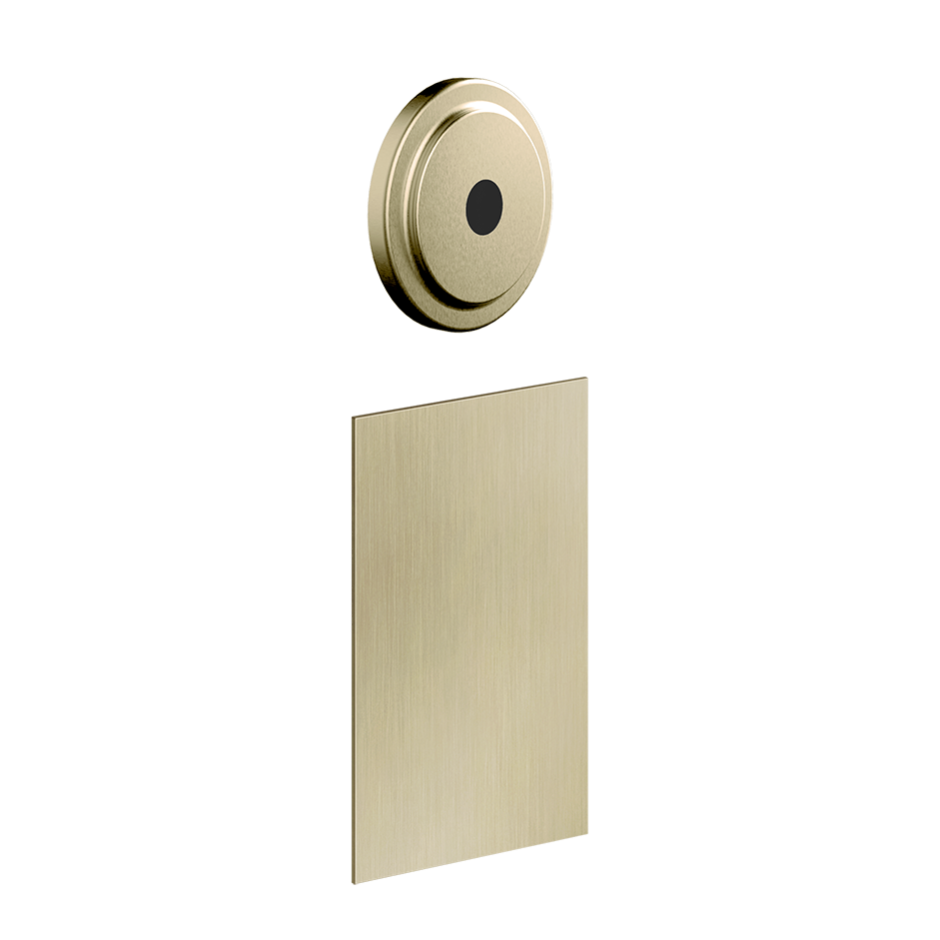 58019 - Brass Brushed Pvd