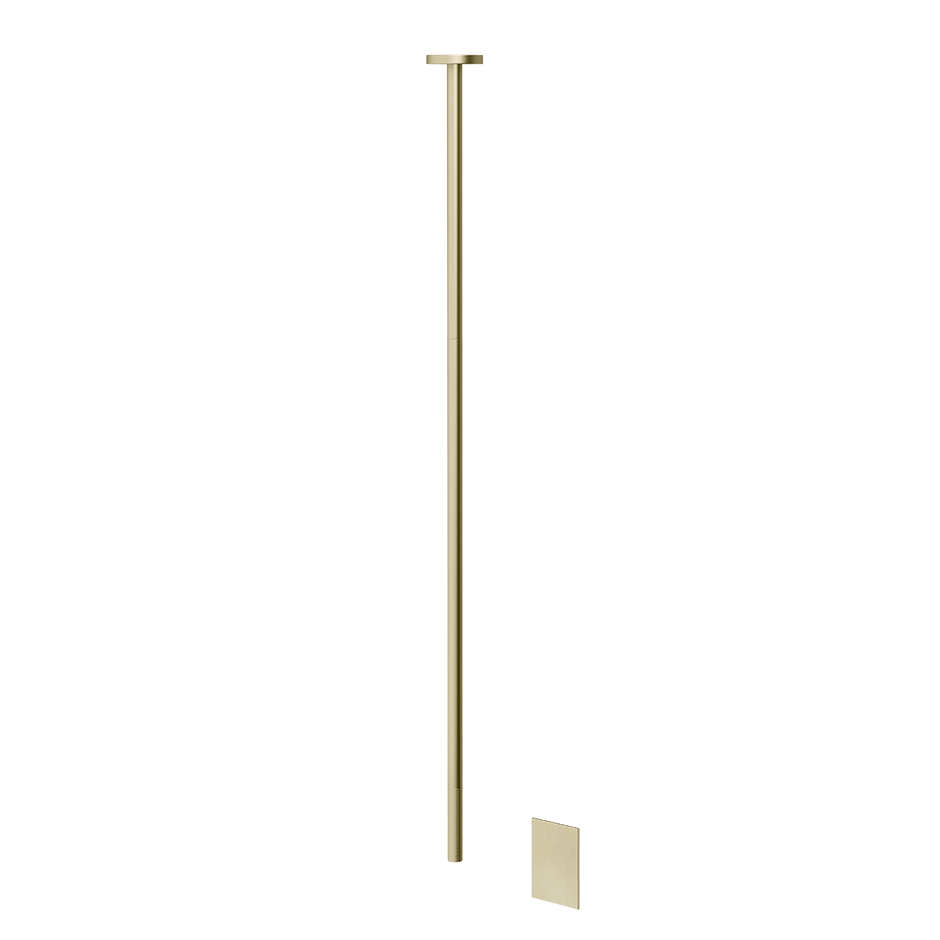 58024 - Brass Brushed Pvd