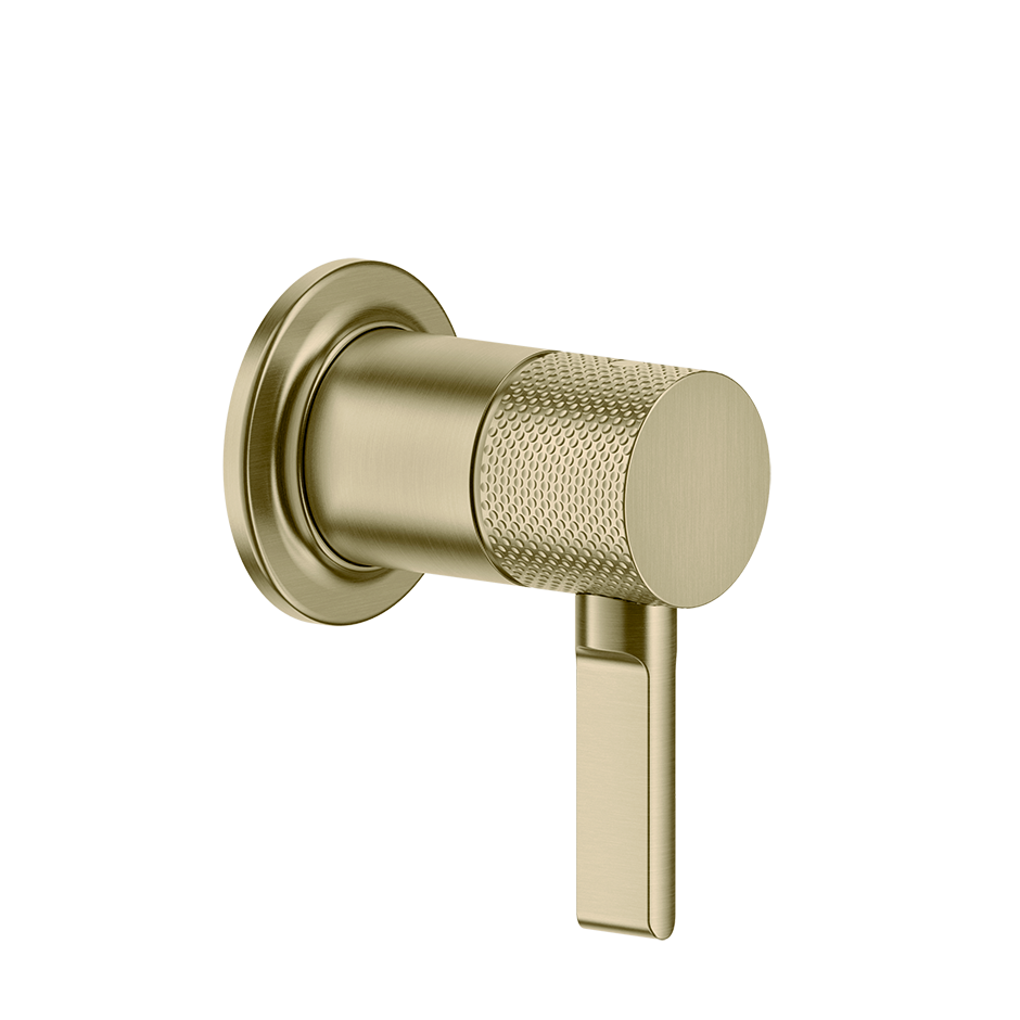 58109 - Brass Brushed Pvd