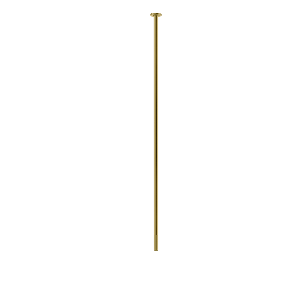 58199 - Gold Brushed Pvd