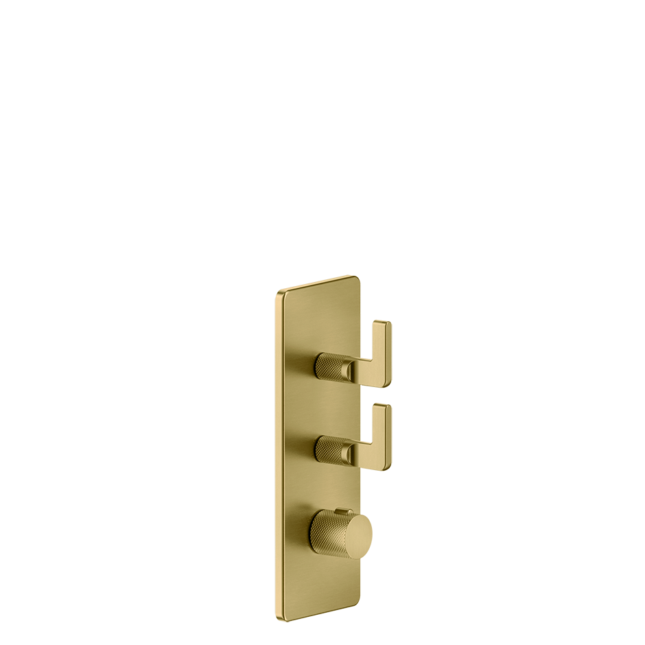 58204 - Gold Brushed Pvd