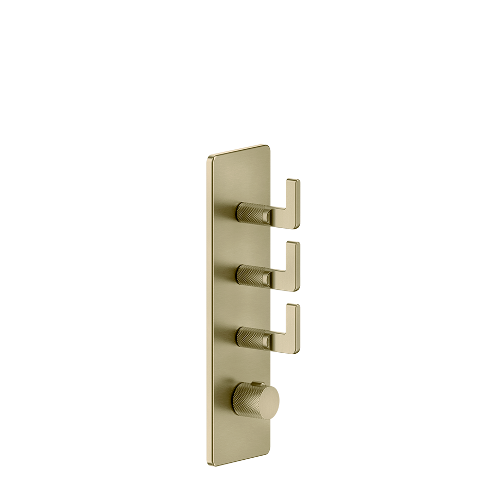 58206 - Brass Brushed Pvd