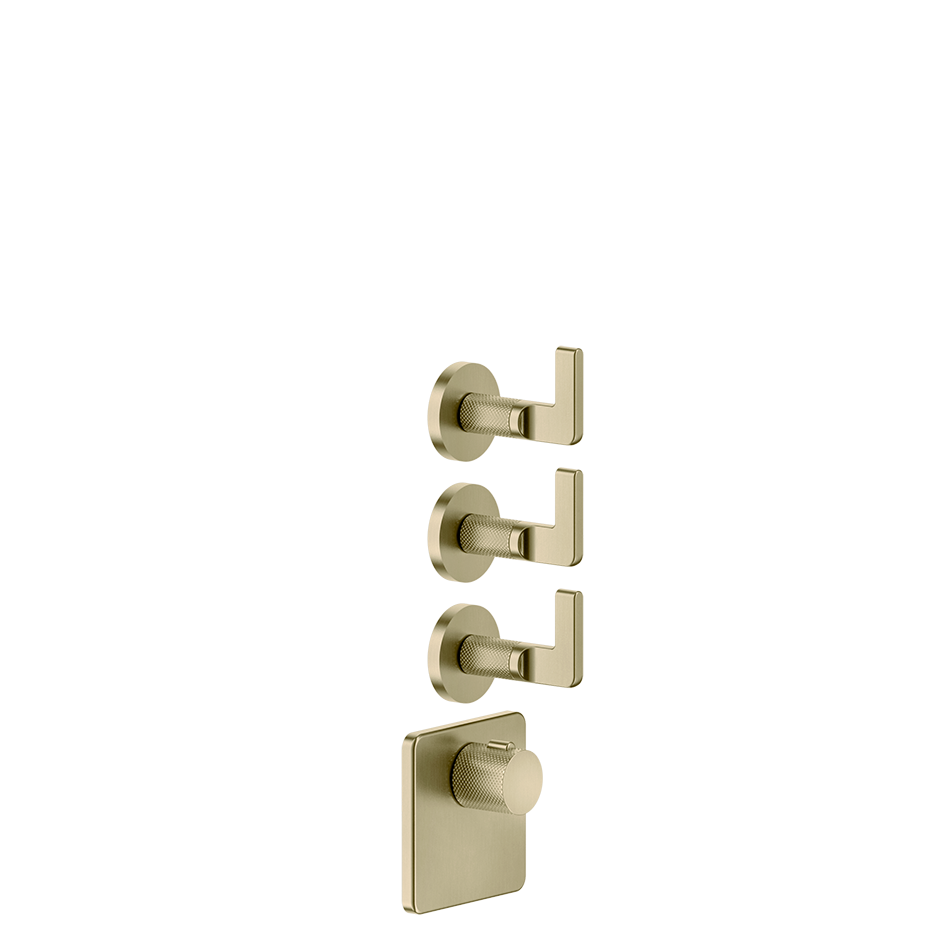 58216 - Brass Brushed Pvd