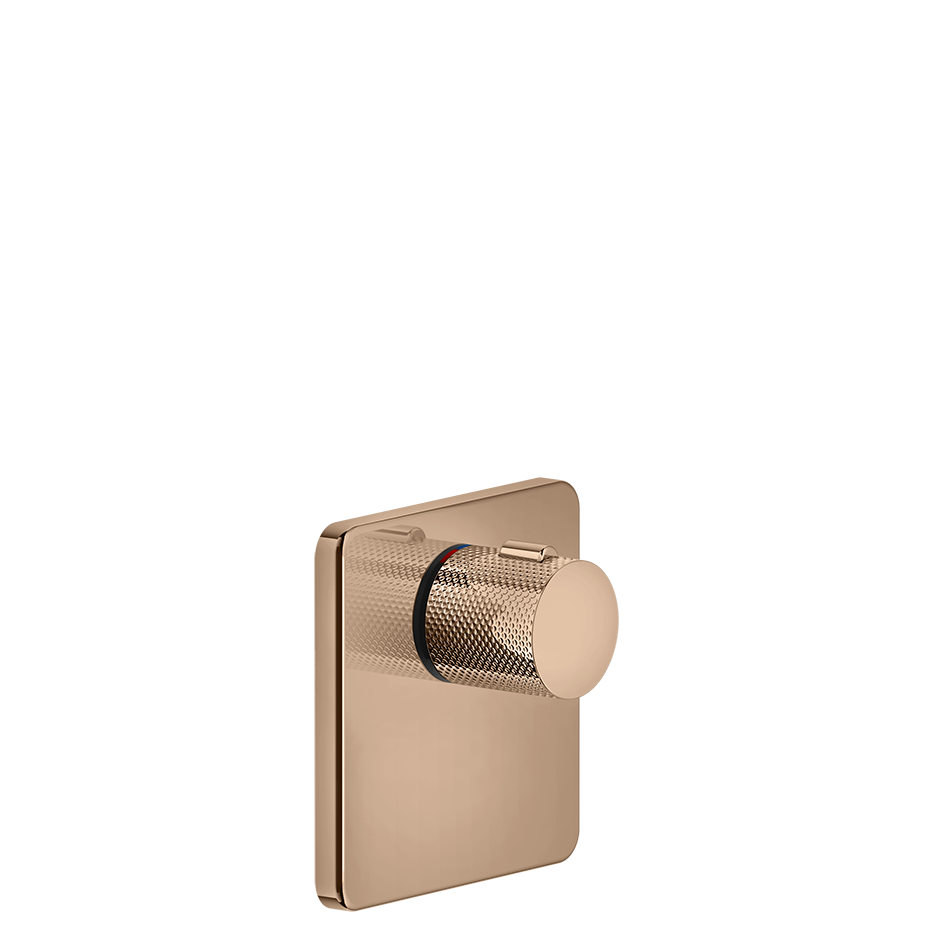 58254 - Copper Pvd