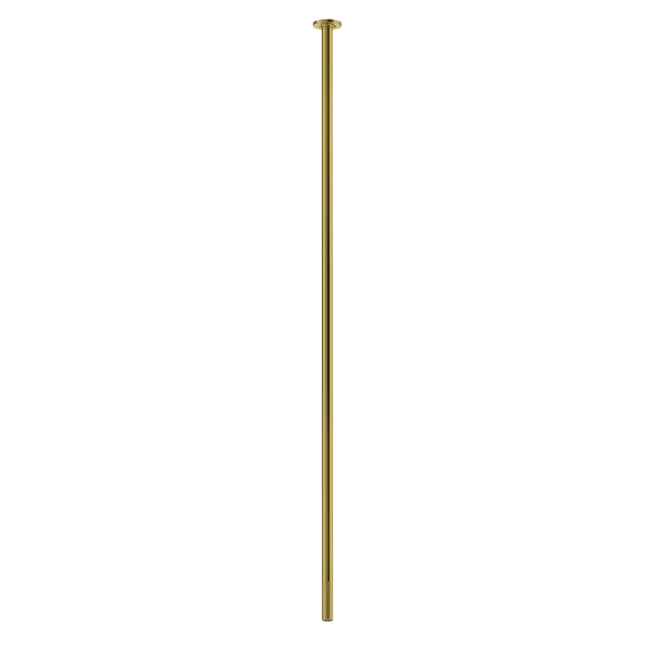 58299 - Gold Brushed Pvd