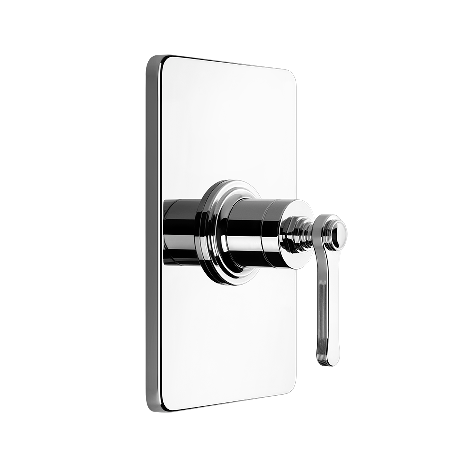 65061 - Chrome