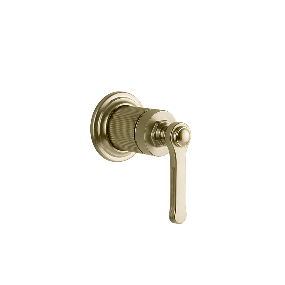 65109 - Brass Brushed Pvd