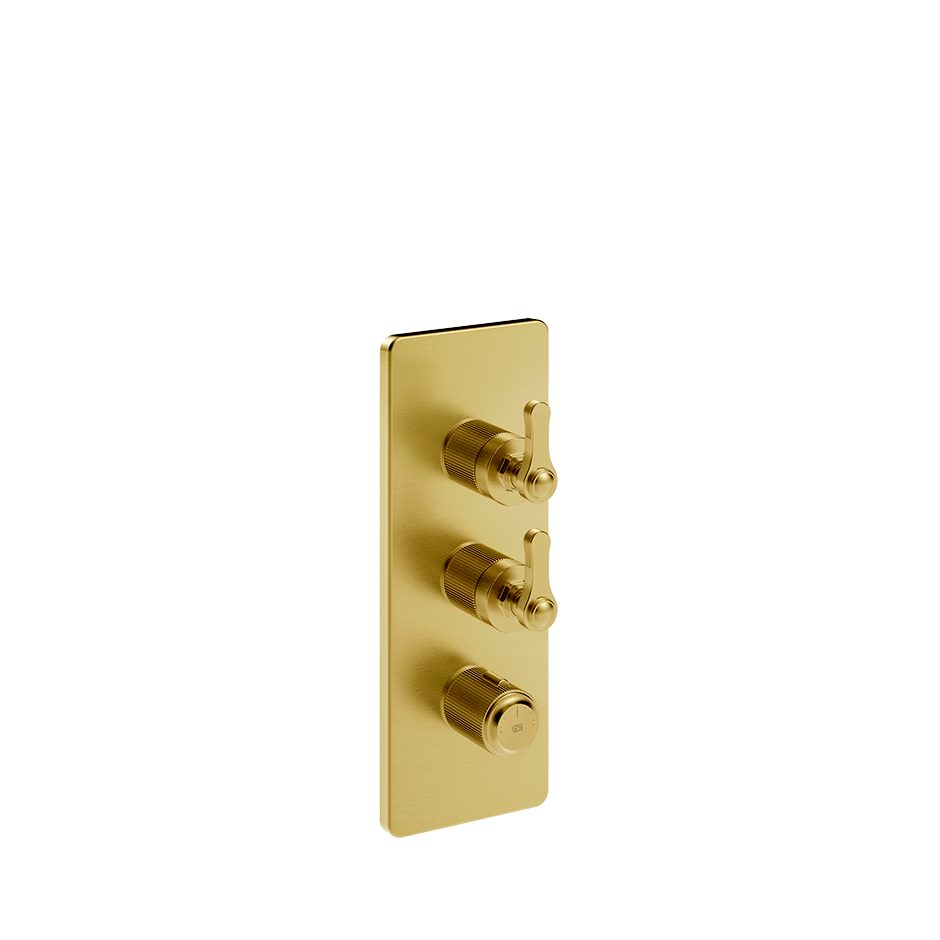 65200 - Gold Brushed Pvd