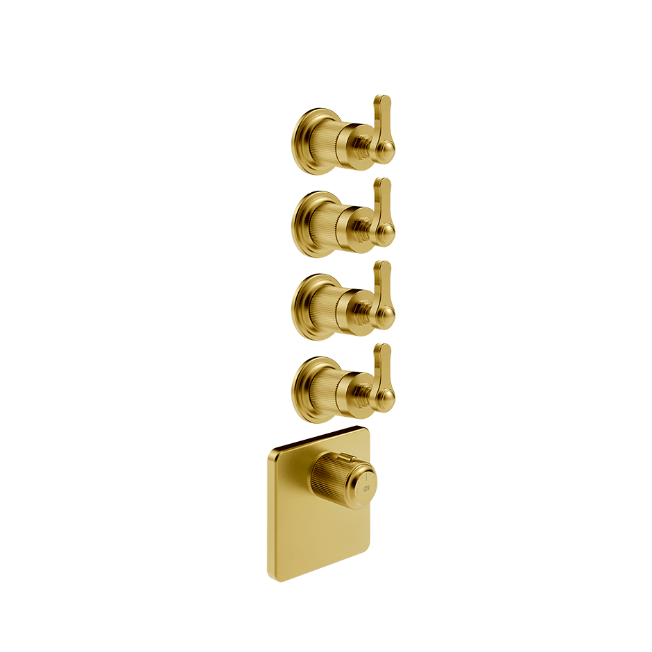 65210 - Gold Brushed Pvd