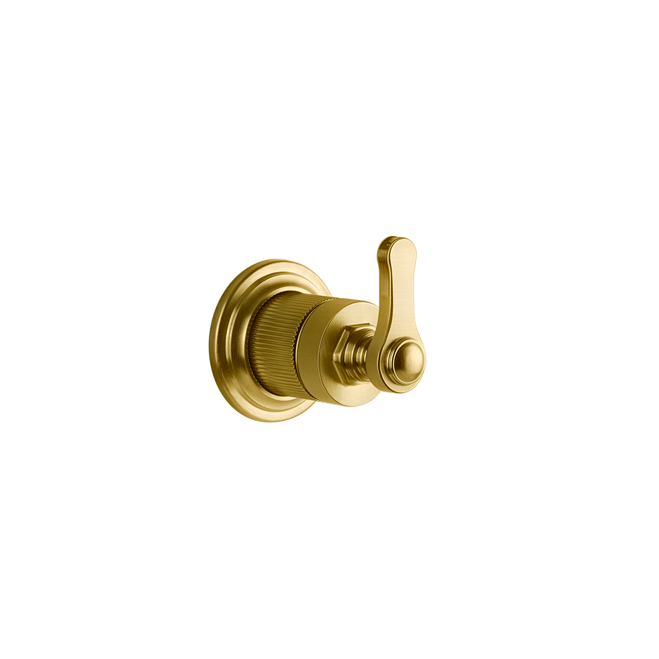 65247 - Gold Brushed Pvd