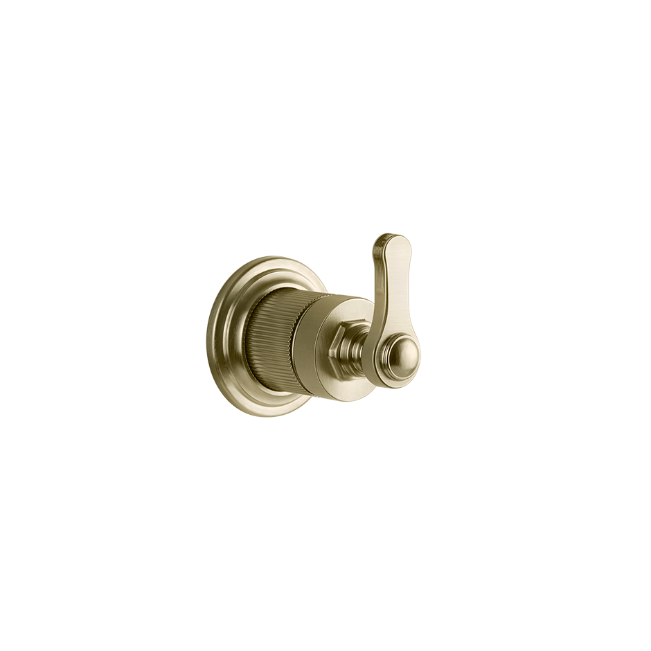 65247 - Brass Brushed Pvd