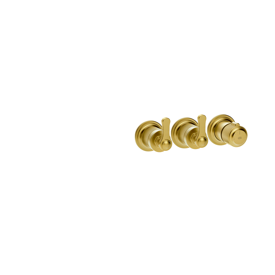65334 - Gold Brushed Pvd