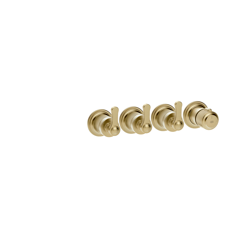 65336 - Brass Brushed Pvd