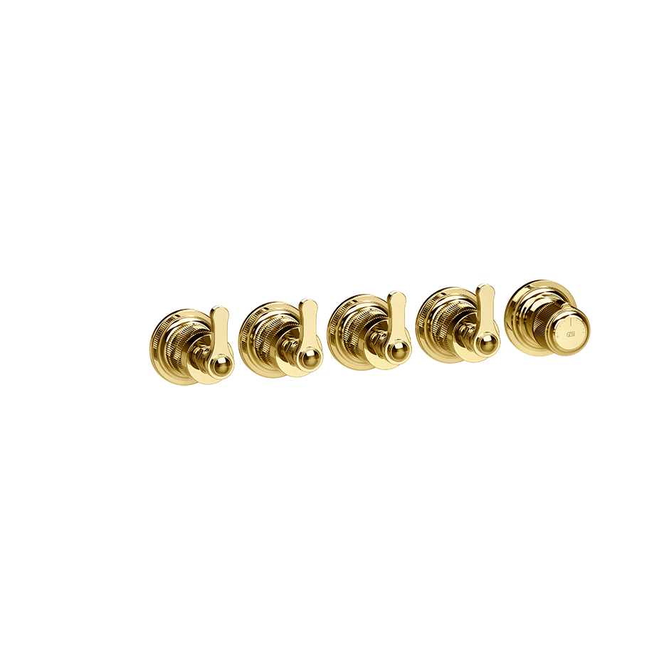 65338 - Gold Pvd