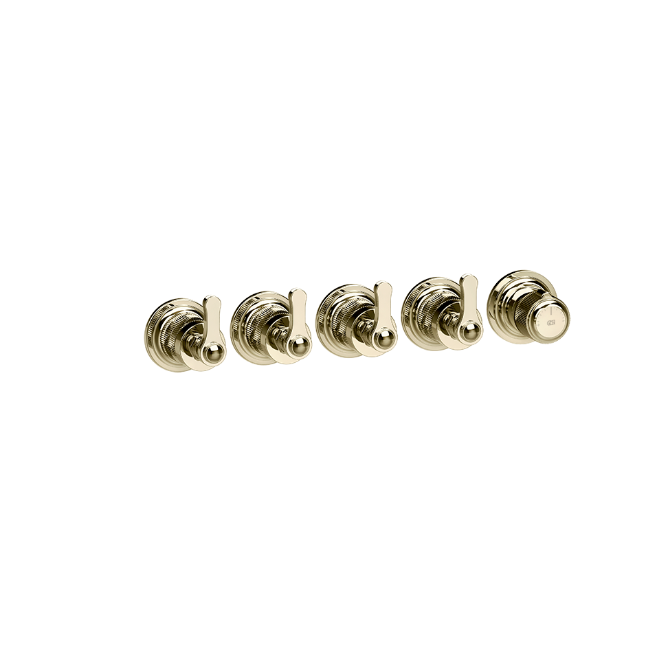 65338 - Brass Pvd