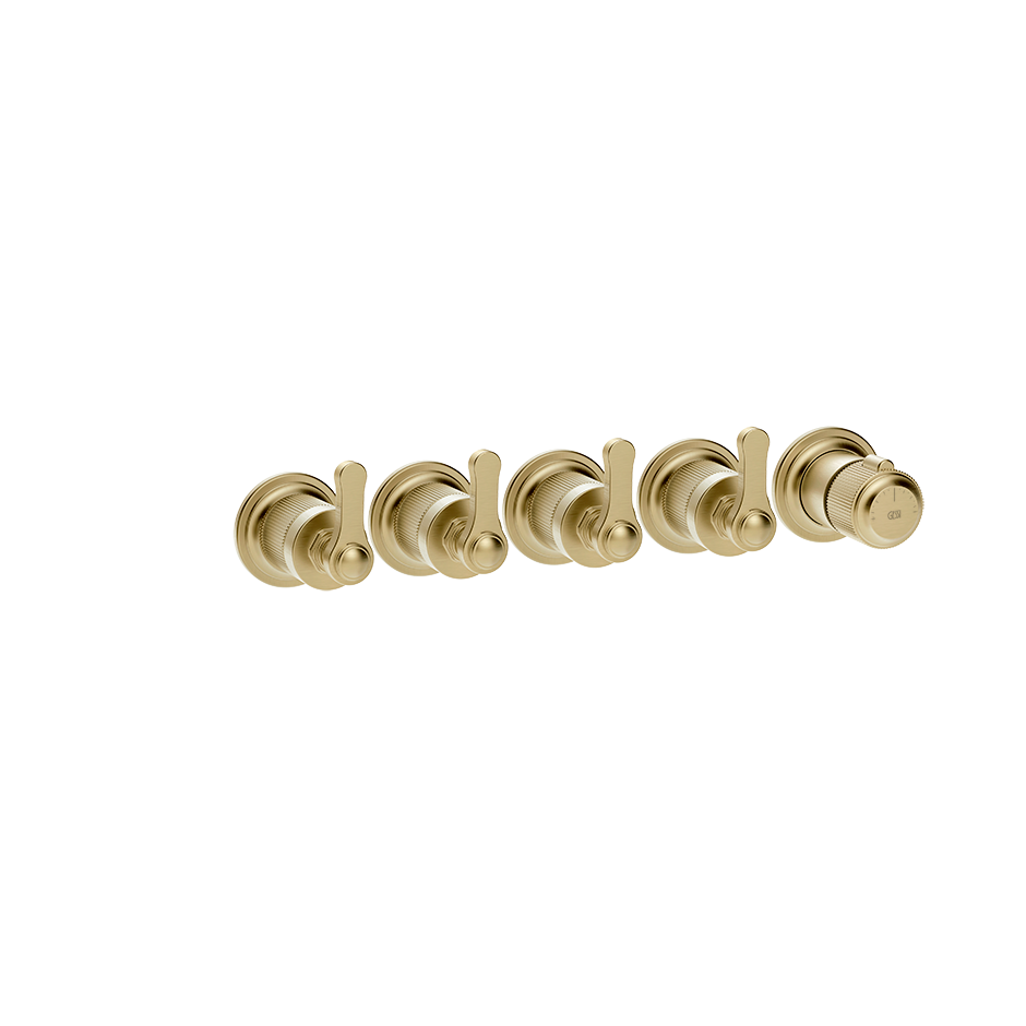65338 - Brass Brushed Pvd