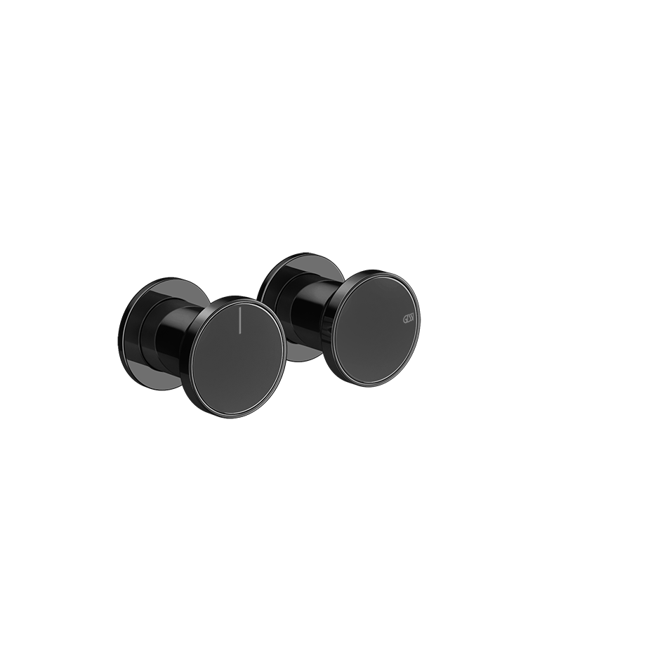 66079 - Black Metal Pvd