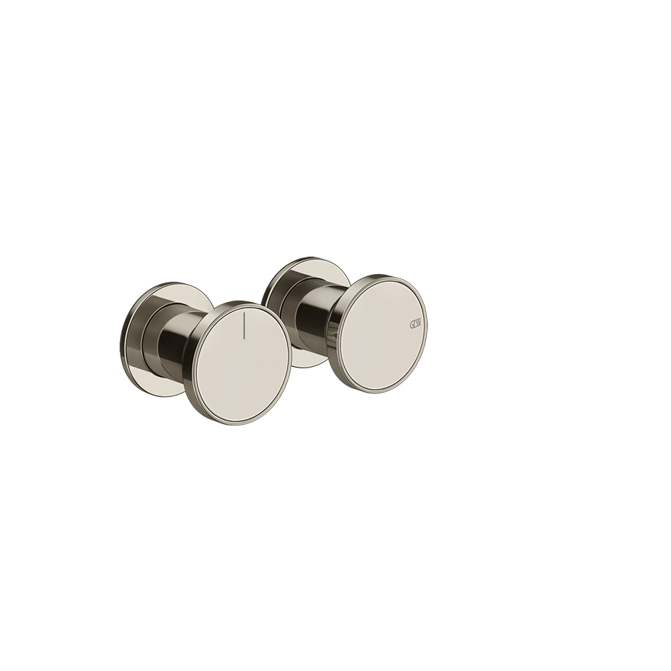 66079 - Nickel Pvd