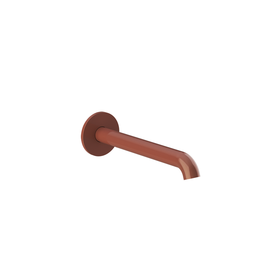 66102 - Glossy Coral