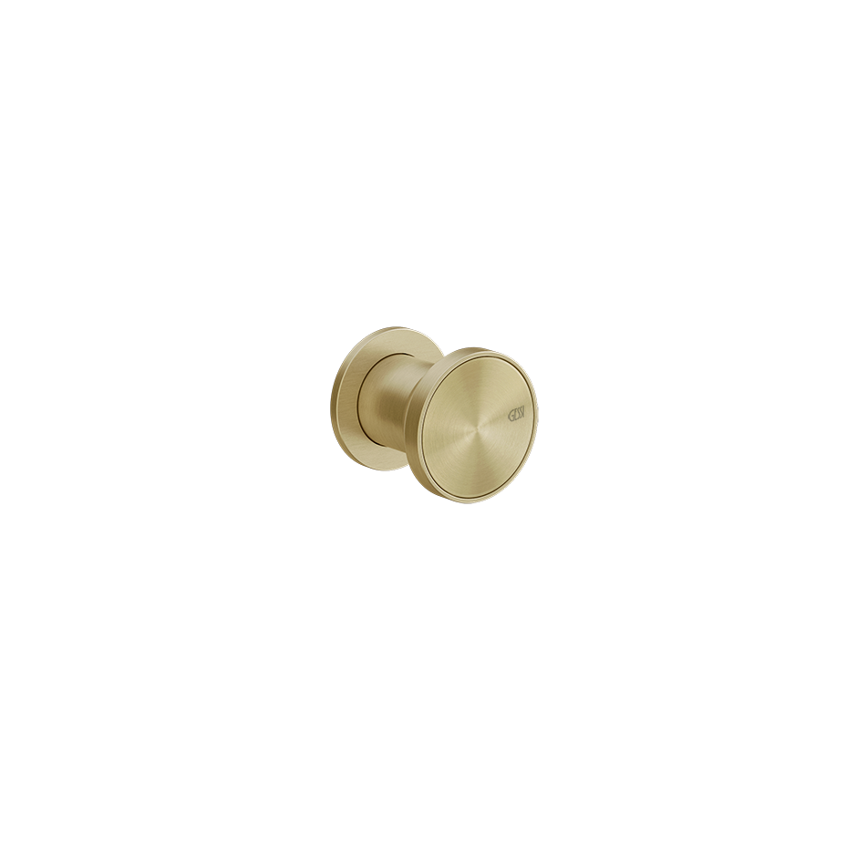 66109 - Brass Brushed Pvd