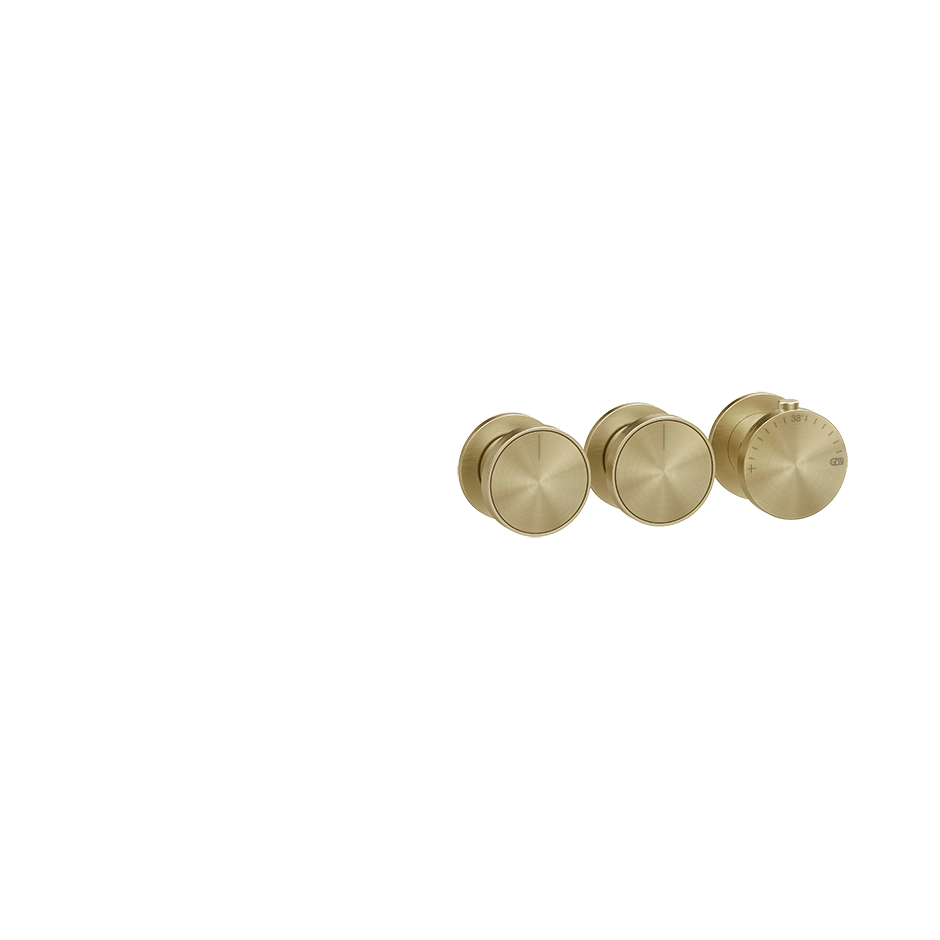 66334 - Brass Brushed Pvd