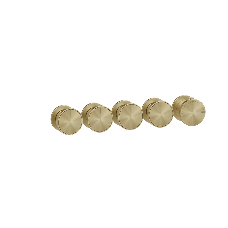 66338 - Brass Brushed Pvd