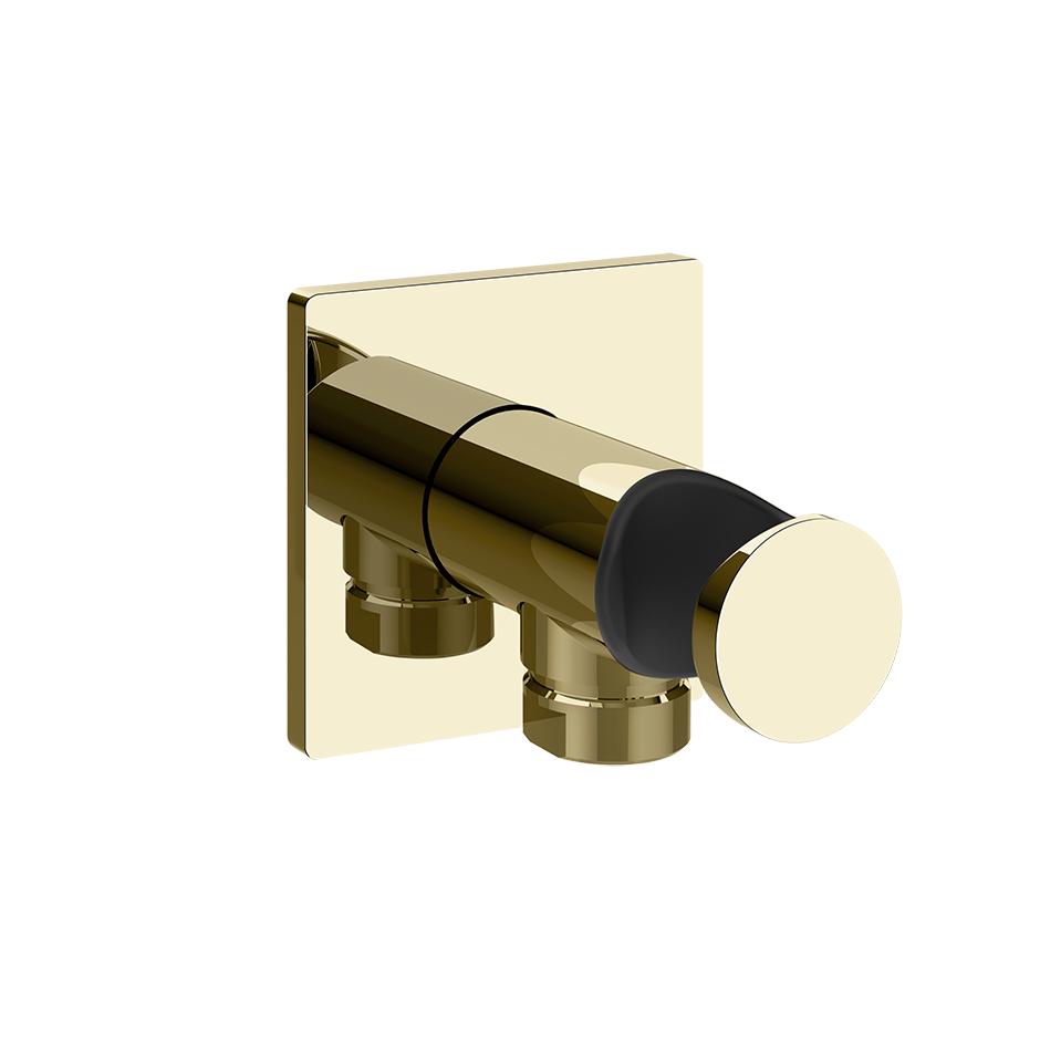 73061 - Brass Pvd