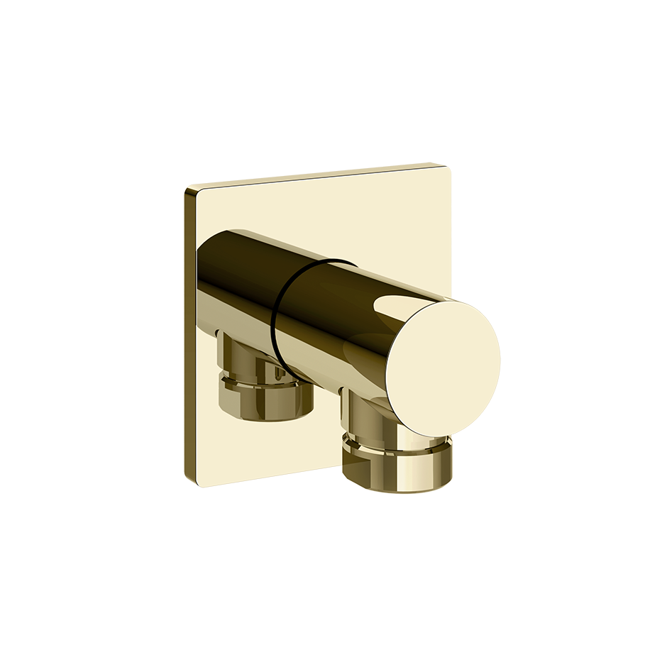 73069 - Brass Pvd